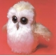 Baby Owl